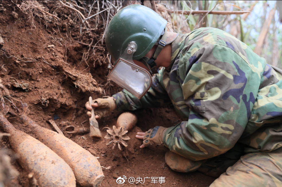 叛逆者電視劇在線觀看免費完整版