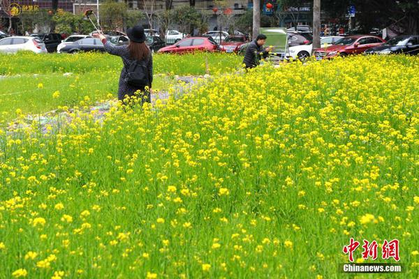 密室大逃脫第四季免費觀看完整版