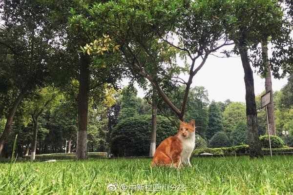  黑洞電視劇