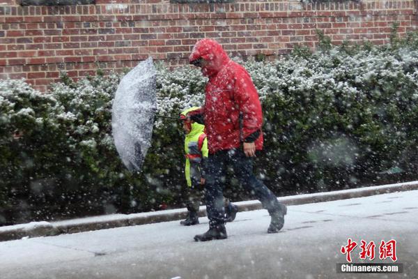 雷蒙·齊歇爾