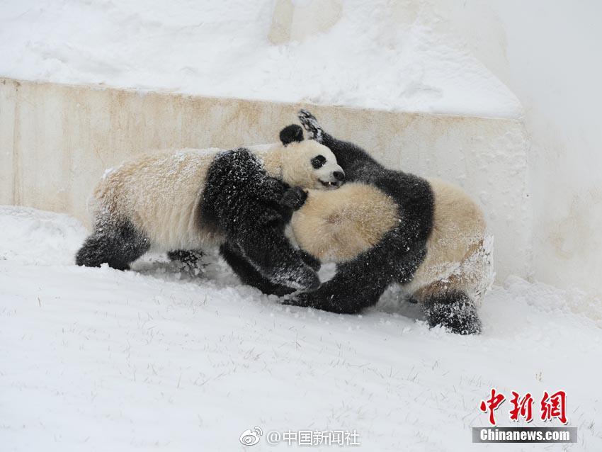  飄雪在線觀看免費高清完整版韓國