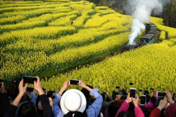  本山快樂(lè)營(yíng)