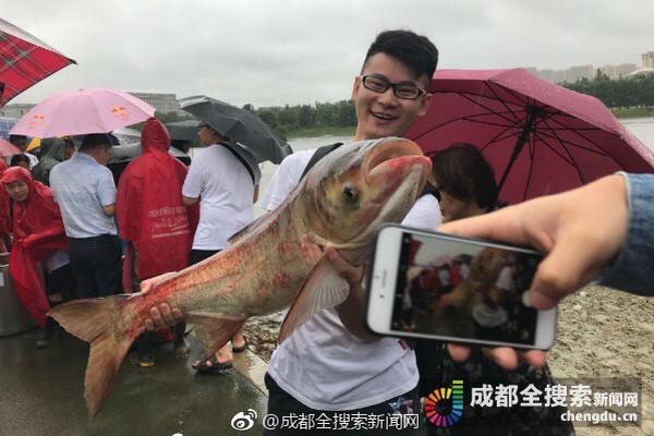 流水迢迢任嘉倫免費觀看