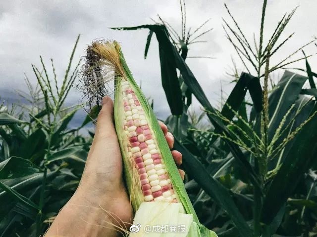  水性楊花電影