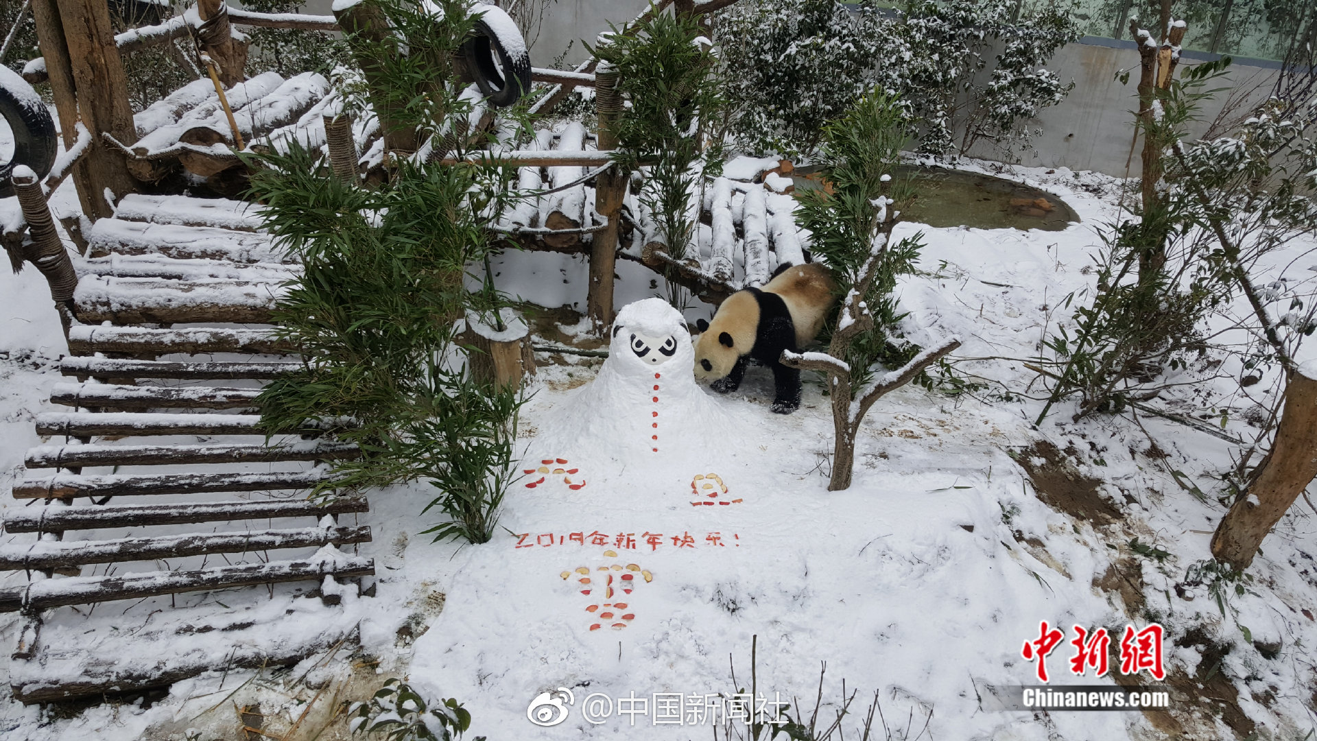 地心的納粹