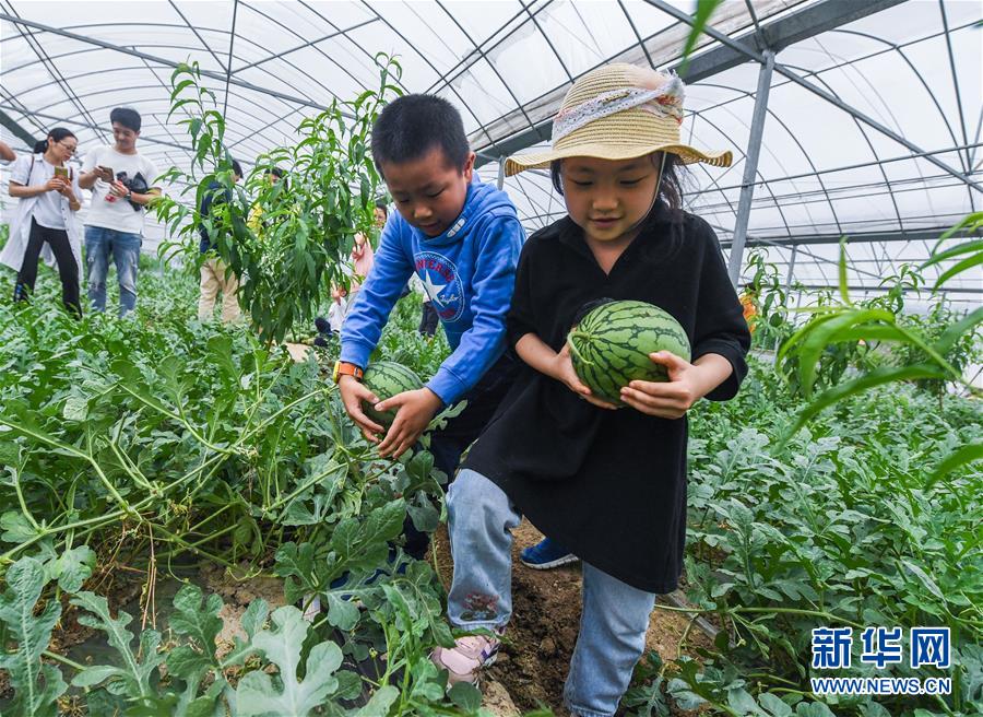 巴里·索南菲爾德