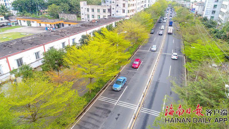 喜羊羊與灰太狼之決戰(zhàn)次時代免費觀看