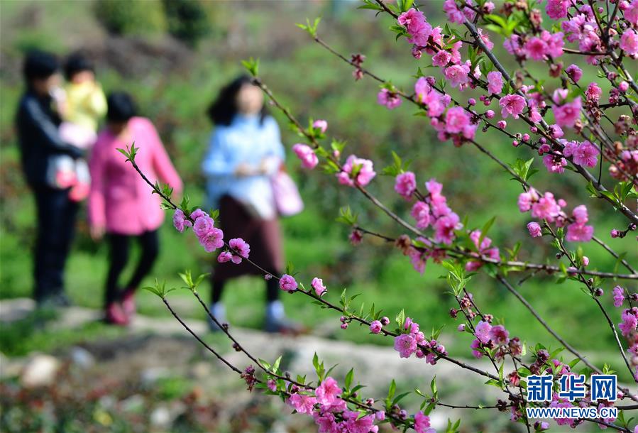  動漫嘉年華