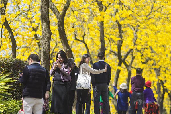 野花社區(qū)在線視頻