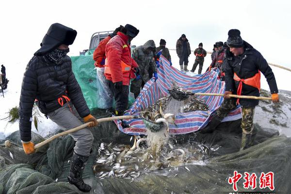  密室大逃脫大神版第五季免費觀看