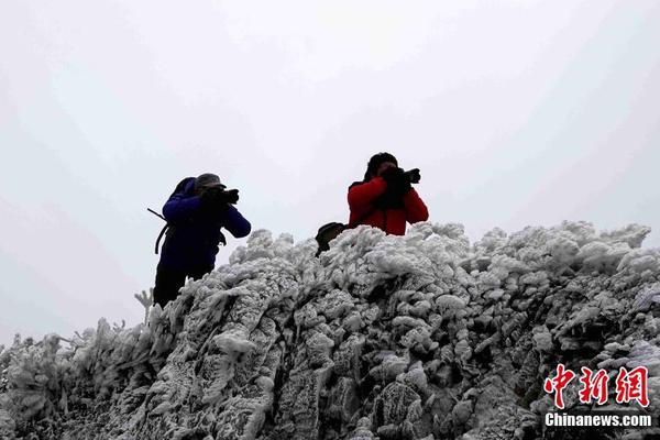  9420免費高清在線觀看視頻