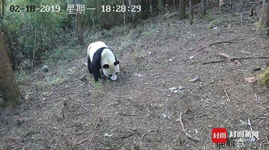  尋龍訣生死門