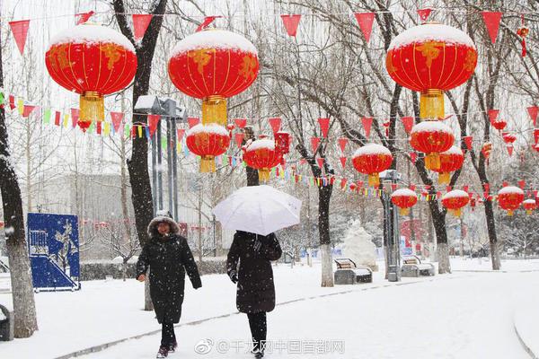 瘋狂的麥咭第二季