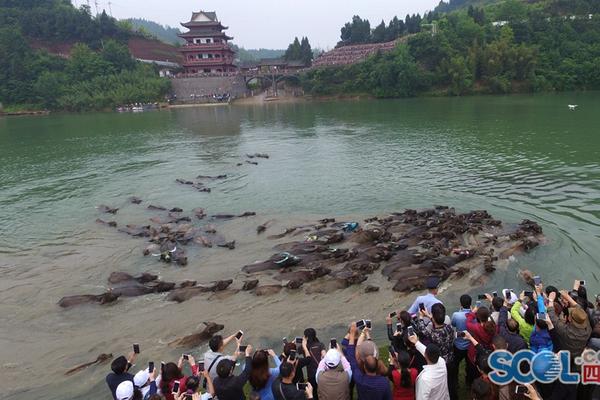 馮大年