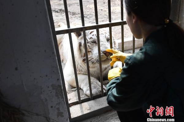  新還珠格格電視劇