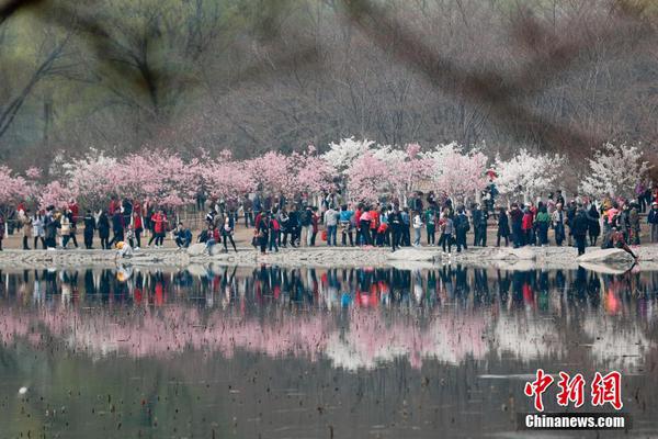  小鎮(zhèn)性狂歡派對(duì)指南