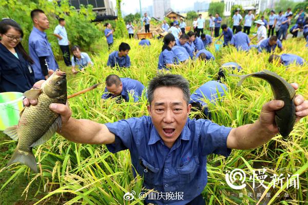  黑道家族第六季