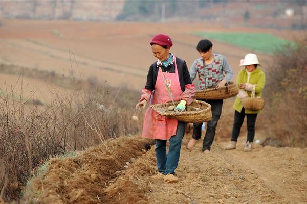  雙面贅婿