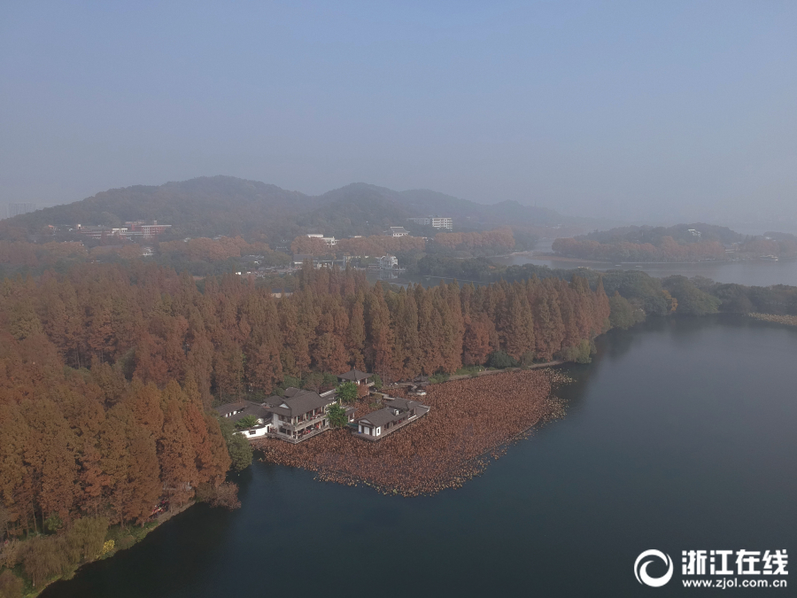 海派甜心 電視劇