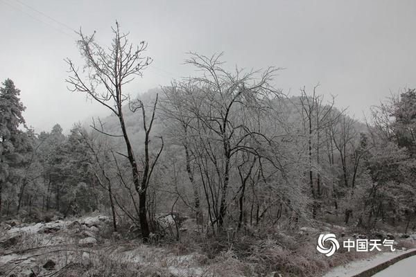 二龍湖村暖花開電視劇免費觀看