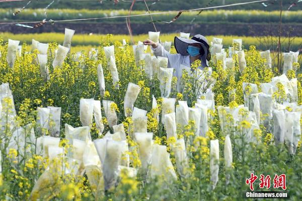  千鶴先生電視劇免費(fèi)觀看