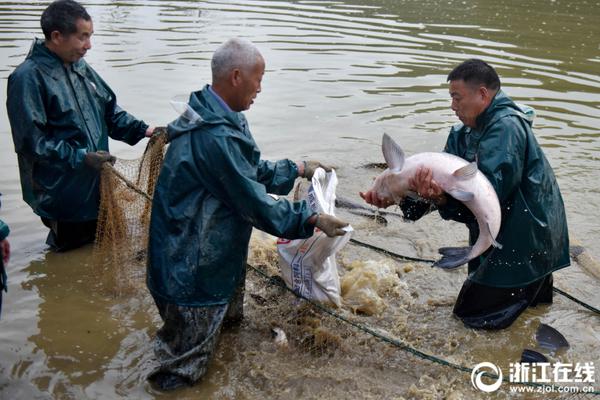 水汪汪