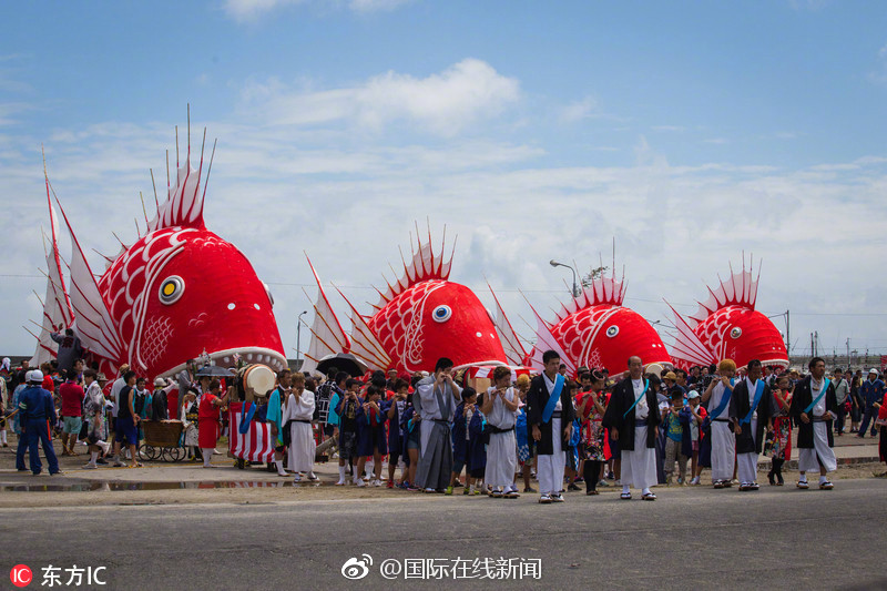 青蘋果樂園免費觀看電視劇高清