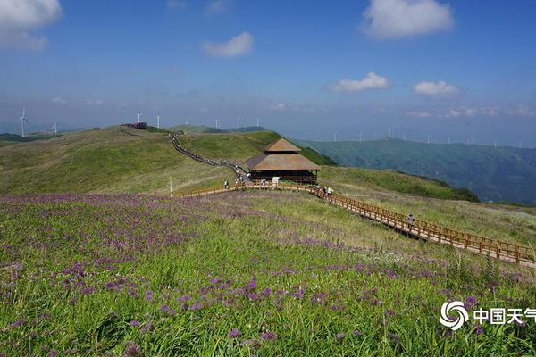 尼羅河的慘案