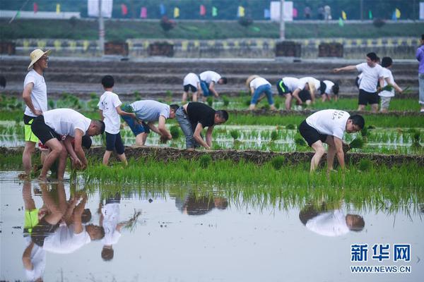 劍雨