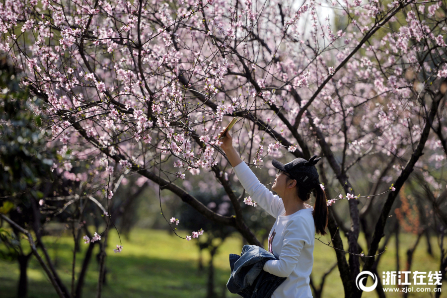  蜘蛛俠英雄歸來(lái)