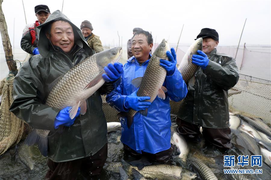 好團(tuán)圓在線觀看全集免費(fèi)播放