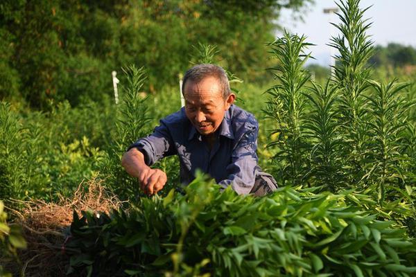 螺絲釘動畫片