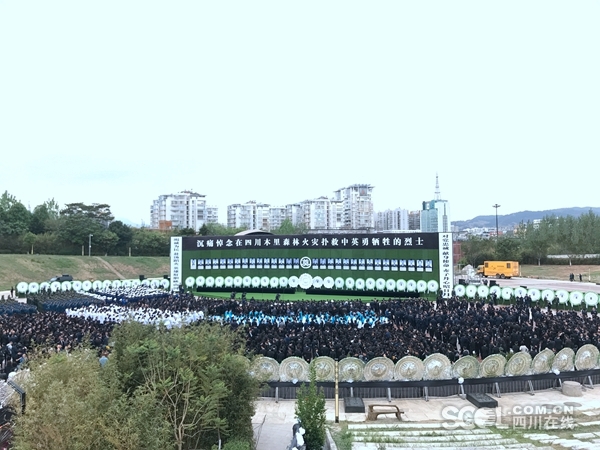 鎮(zhèn)魂街真人版