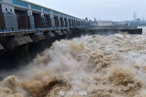 好奇害死貓電影