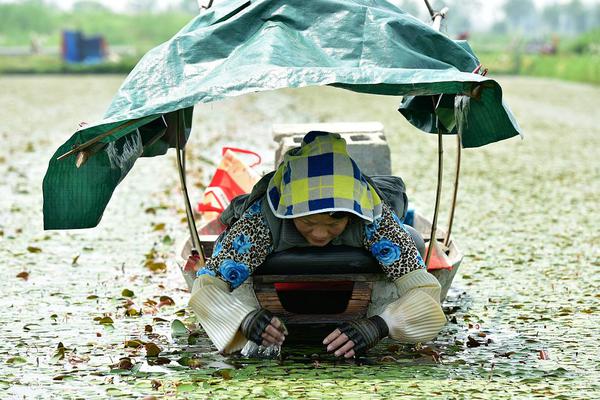 野花日本大全免費(fèi)觀看10中文