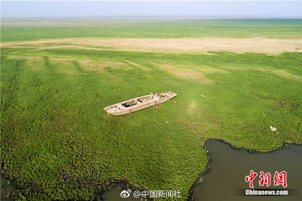 連詩(shī)雅喜愛(ài)夜蒲