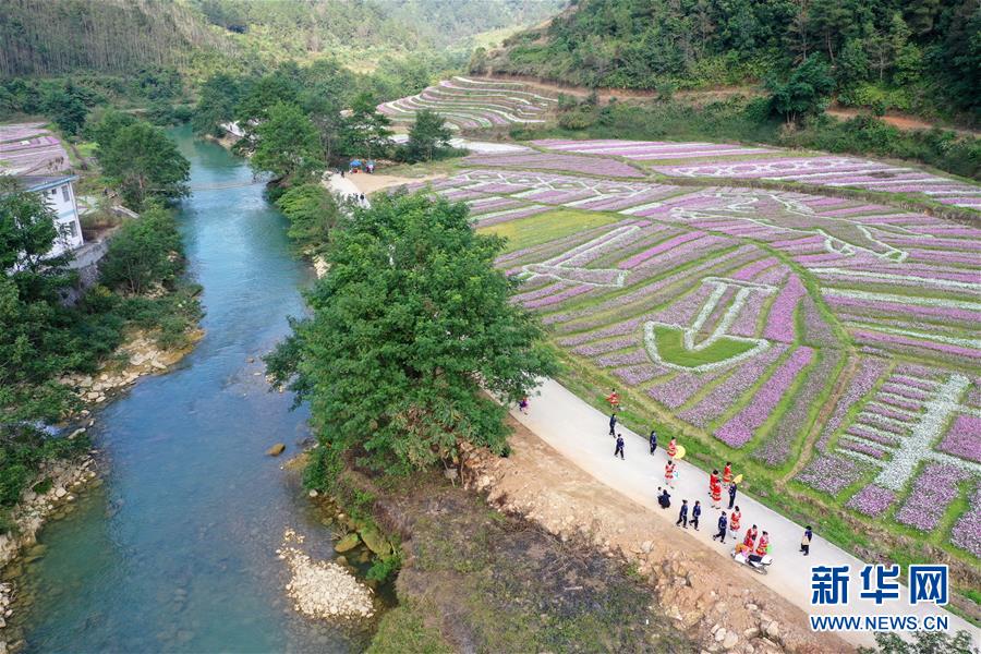 鏡中人在線觀看完整版免費(fèi)