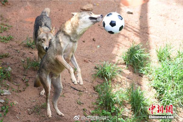  鳳火還巢短劇免費(fèi)觀看