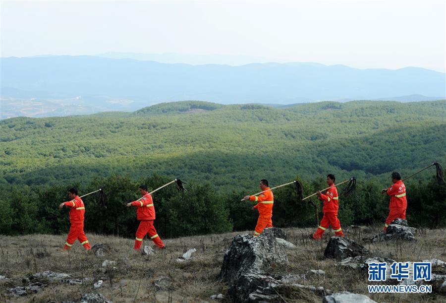  色即是空在線播放