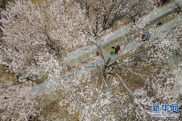 地下偶像1-8集全免費(fèi)