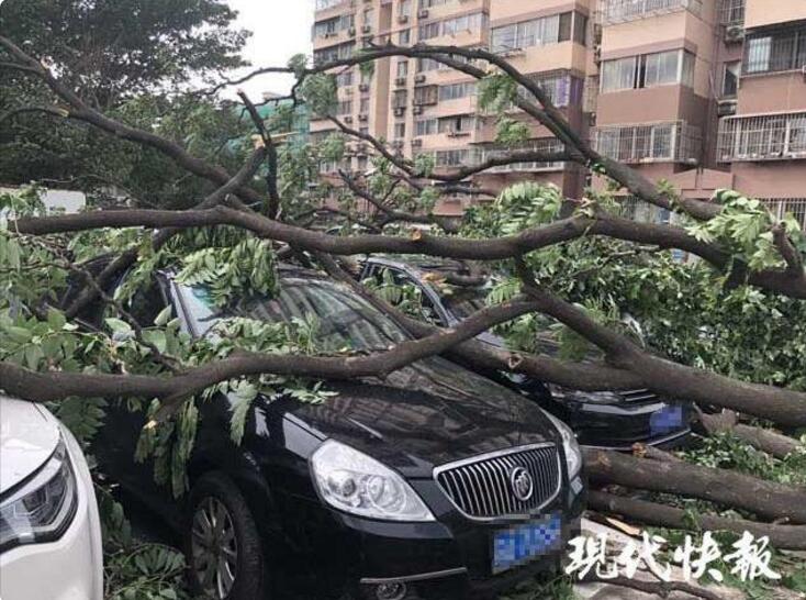 機械戰(zhàn)警 電影