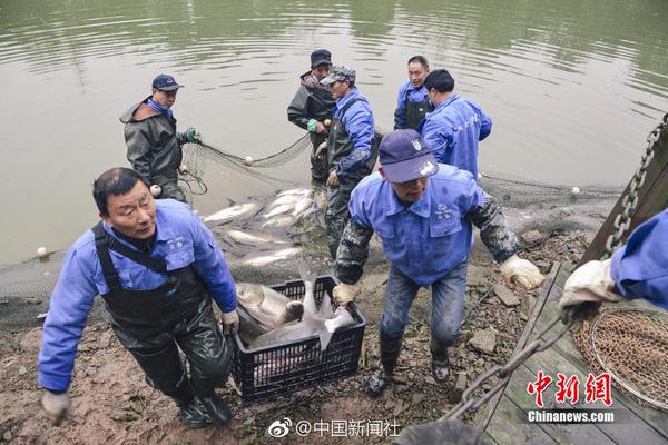  獵犬韓劇