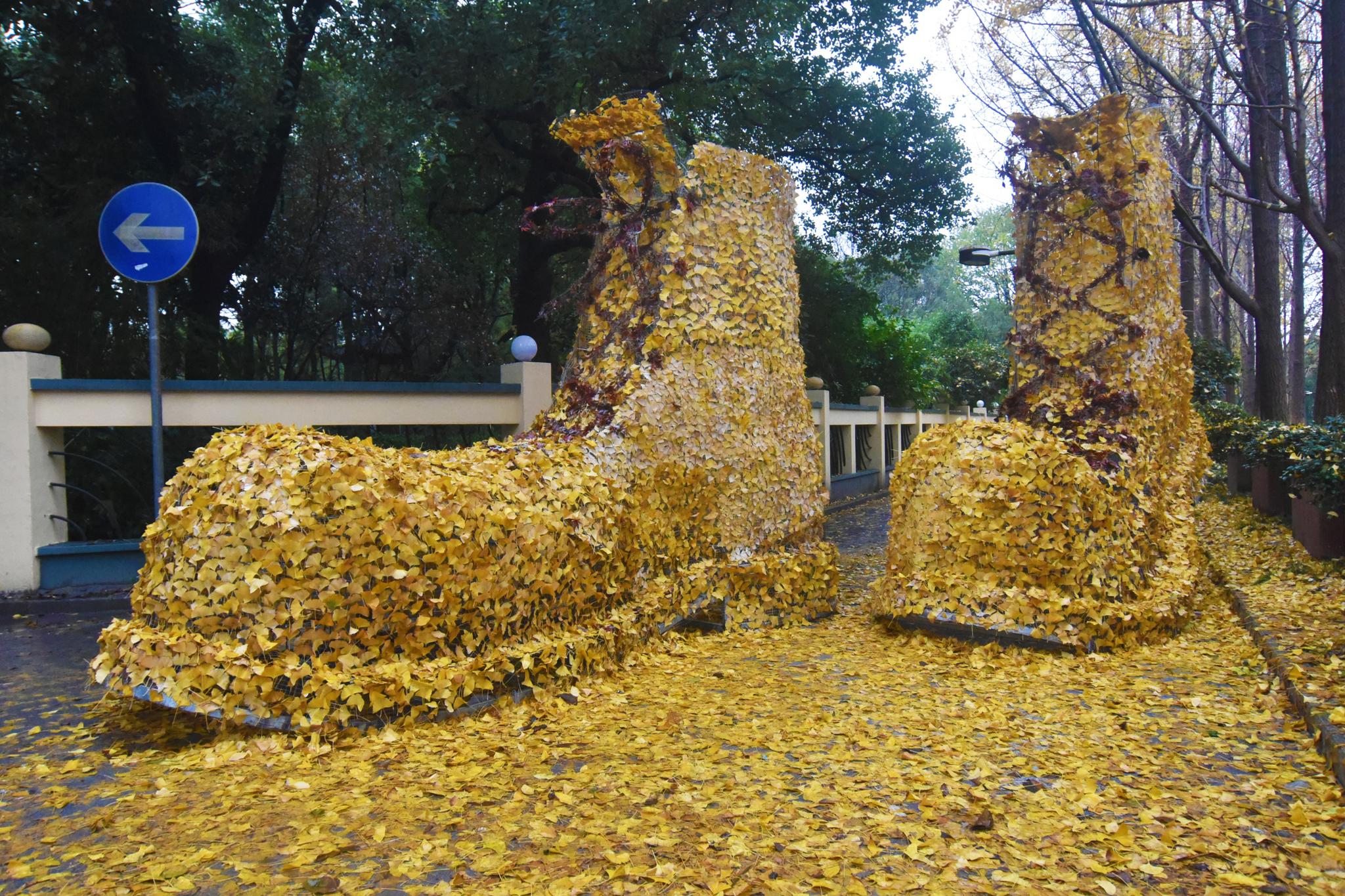  燦爛的花園