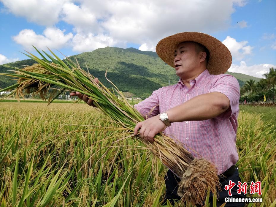 利箭縱橫電視劇