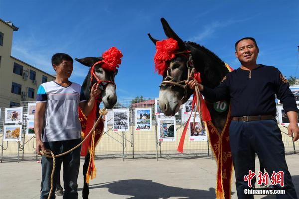 我在路上最愛(ài)你