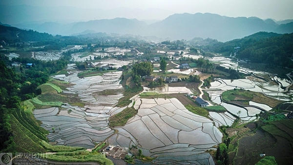  傘學(xué)院