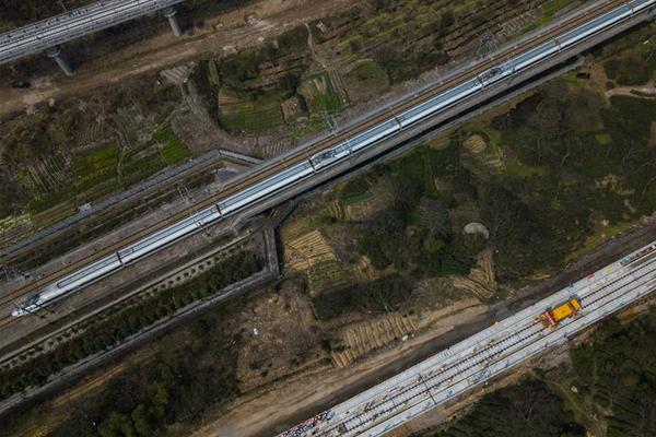 跨國(guó)追逃電視劇