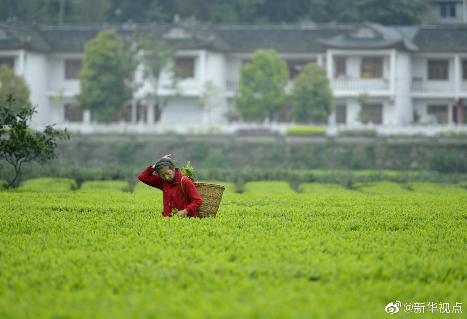 劉惠寧,黃建新