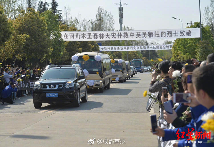  野花香社區(qū)在線視頻觀看播放