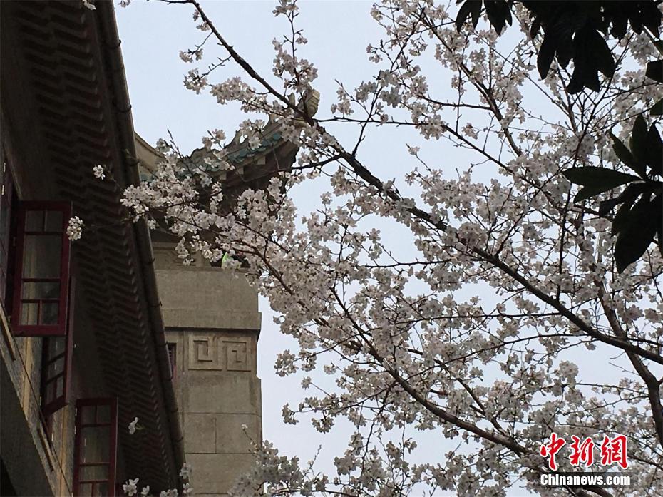 鳥籠山剿匪記